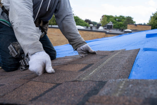 Residential Roof Replacement in East Lake Orient Park, FL