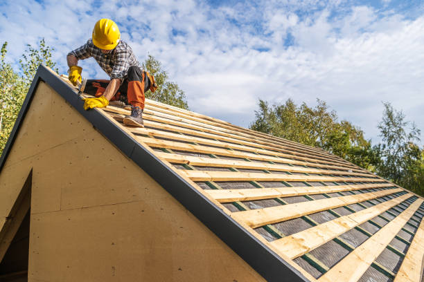 Best Metal Roofing Contractor  in East Lake Orient Park, FL