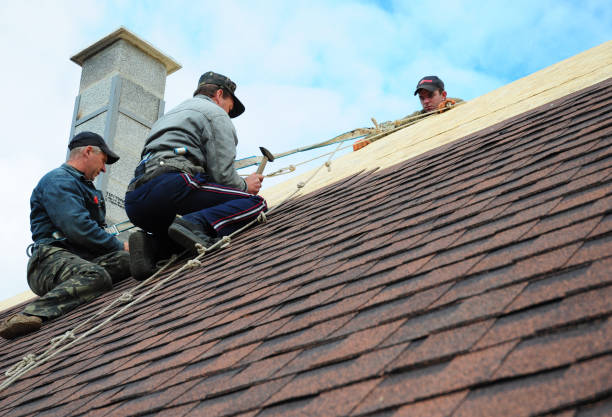 Best Storm Damage Roof Repair  in East Lake Orient Park, FL